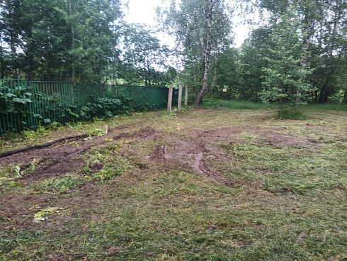 Аренда трактора для расчистки участка
